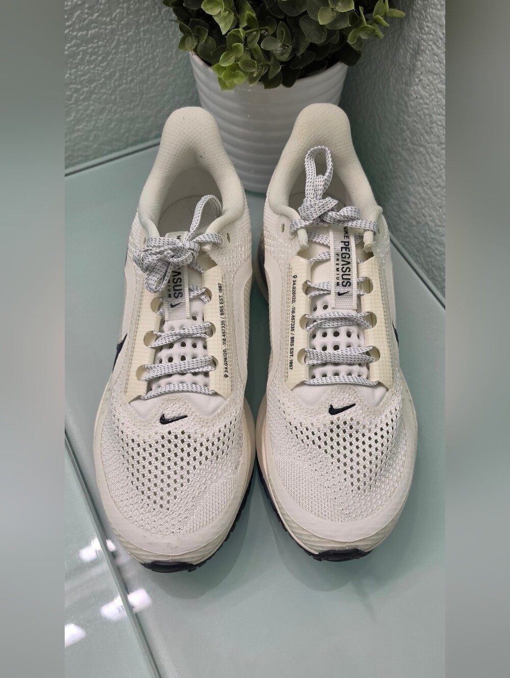 Nike Pegasus Running Shoes Size 9.5